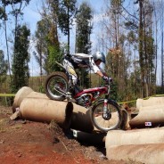 Brasileiro de Trial teve etapa paralela ao Independência